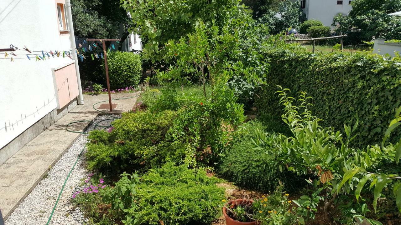Guest House Dijana 克尔克 外观 照片